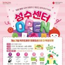 성수전자