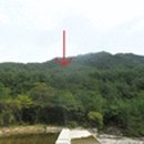 무릉도원면-49 이미지