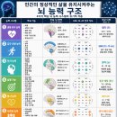 《8 가지 핵심 뇌 능력 구조》 이미지