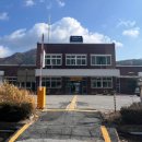 증산초교 | [민둥산 은빛억세축제] 🏔️무궁화 기차 타고 증산초교~정상 최단코스 완등 후기 🌾포토스팟 총정리