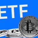 기관 투자자, 현물 비트코인 ETF 전체 중 20% 보유 이미지