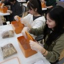 메디헬스 | [단국대학교 바이오헬스]2025 메디푸드 웰니스 프로그램 참여 후기