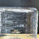 보리수 산장 이미지