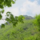 우명복 Daum카페
