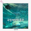 국립해양박물관 화장실(외부) | 부산 국립해양박물관 주차장 카페 관람 후기