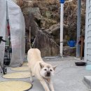 별이랑달이랑 이미지