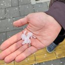 백송헬스 | 설연휴가 끝나기 전에 올려보는 24년 결산, 한 해를 돌아보며