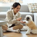 마음담은 동물병원 이미지