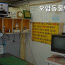 오암동물병원 네이버블로그