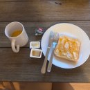 HOSTEL THE CAMINO | 산티아고 순례길 ~ 포르투 해안길 [시작이 반이다 - 시작만 했는데 반틈을 넘었어요]