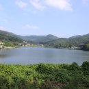 올리브호텔 이미지