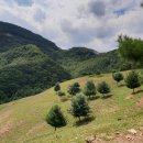 종은목장 이미지