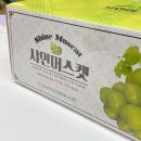 남상주농업협동조합 이미지