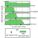 신생대 대형포유류 - 어떻게 멸종했나? 이미지