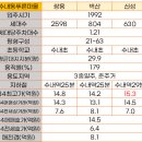 파크타운.양지마을 | 1기신도시 분당수내동 선도지구 양지마을, 파크타운, 푸른마을 임장