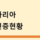아리아국제결혼