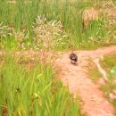 현명한선택 이미지