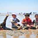 하전어촌체험휴양마을 이미지