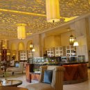 타지펠리스 이미지