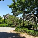 삼호공원 화장실 이미지