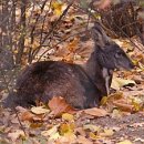 부부한의원 이미지