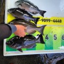 뉴환상민박 이미지