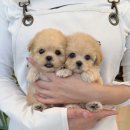 광산구-045 이미지