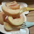 신산1리 이미지