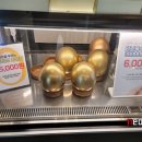 공룡타조랜드 이미지