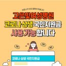 고은빛여성병원 네이버블로그