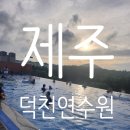 큰아들삼화점 | 제주 덕천 연수원 별관 패밀리룸 22평 이용후기