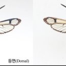 전남유리