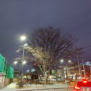 느티나무사거리 이미지