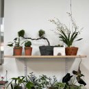 오디너리 가든 이미지