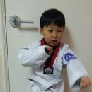 효재태권도 이미지