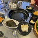 한림도새기