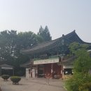 덕진-92 | 전주❤동물원,덕진공원,전북대로렌플레이트,군산은파호수공원❤