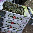 진안읍 0159 이미지