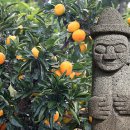 무궁화한의원 이미지