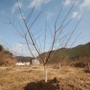 고령농장 이미지