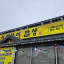 신토불이 투 이미지