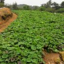 남해-315 이미지