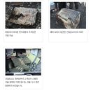선일유통 이미지