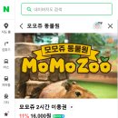 서광리-16 | 모모쥬동물원 ㅣ 제주 신화월드 카피바라 체험 내돈내산 후기