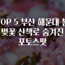 진포토 이미지