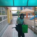선창초교병설유치원 이미지