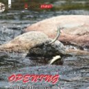 달콤피시 이미지