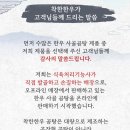 착한한우 이미지