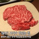 맛있는 고기집 | [고양/일산] 고기가 맛있는 집 - 소고기맛집 내돈내산 솔직후기 주차가능 (+창고43 비교까지)