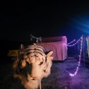 여주그린수상레저